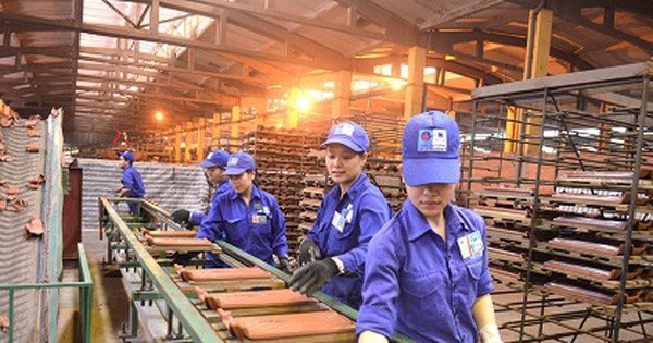 Viglacera Đông Triều đã âm vốn chủ sở hữu