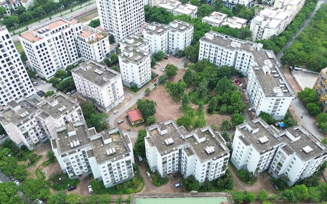 Người có đủ 2 con đẻ sắp được ưu tiên mua nhà ở xã hội - Ảnh 2