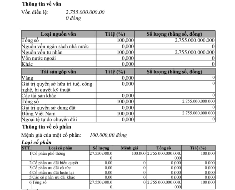 Dragon Group hiện c&oacute; vốn điều lệ 2.755 tỷ đồng.&nbsp;
