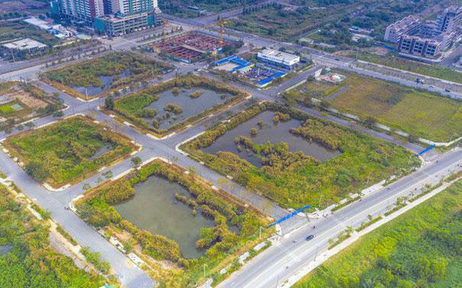 Y&ecirc;u cầu b&aacute;o c&aacute;o việc cấp t&iacute;n dụng cho doanh nghiệp đấu gi&aacute; đất Thủ Thi&ecirc;m. (Ảnh minh họa)