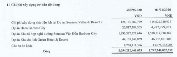 B&aacute;o c&aacute;o t&agrave;i ch&iacute;nh hợp nhất qu&yacute; 3 năm 2020 &nbsp;