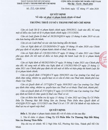 Bất động sản An Dương Thảo Điền bị truy thu hơn 300 triệu đồng vì vi phạm thuế - Ảnh 1