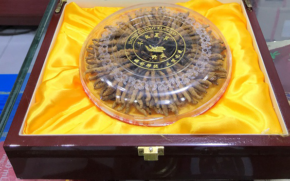 Qu&#224; Tết gi&#225; &quot;khủng&quot;, chỉ giới đại gia mới d&#225;m chi tiền: C&#243; g&#236; b&#234;n trong m&#224; gi&#225; tới cả tỷ đồng/kg? - Ảnh 1