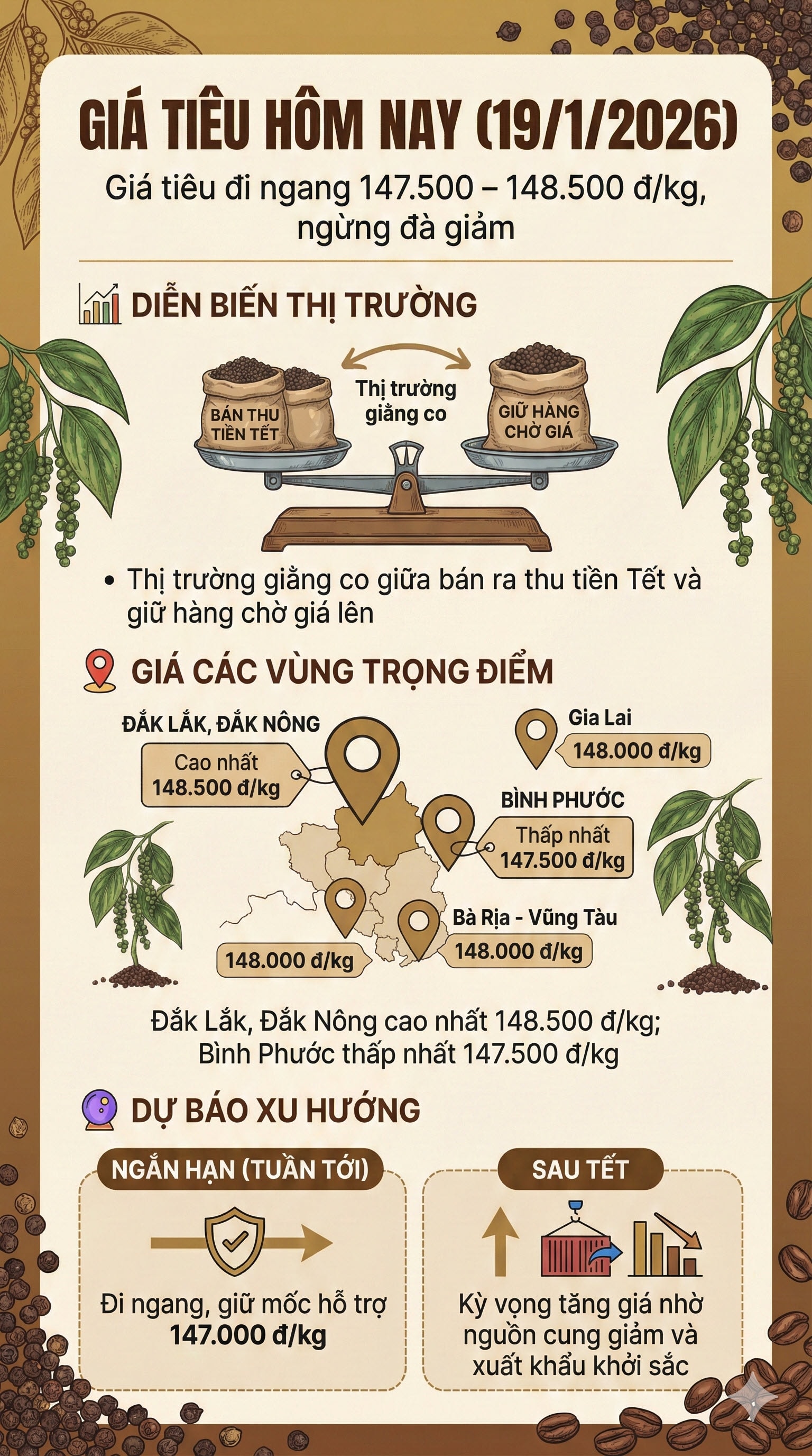Giá tiêu hôm nay 19/1/2026: Nông dân 'găm hàng' hay bán tháo trước Tết? - Ảnh 1