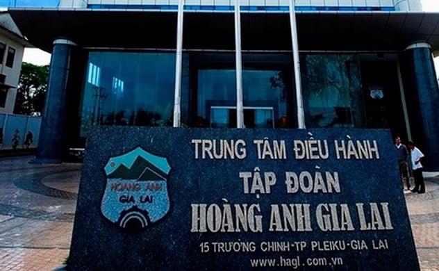 HAGL thoái vốn thành công tại HAGL Agrico - Ảnh 1