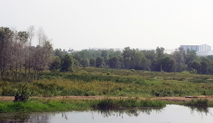 Suốt 6 năm qua, dự &aacute;n Cụm c&ocirc;ng nghiệp Savi vẫn chưa triển khai khiến đất đai ruộng nương của người d&acirc;n hoang h&oacute;a