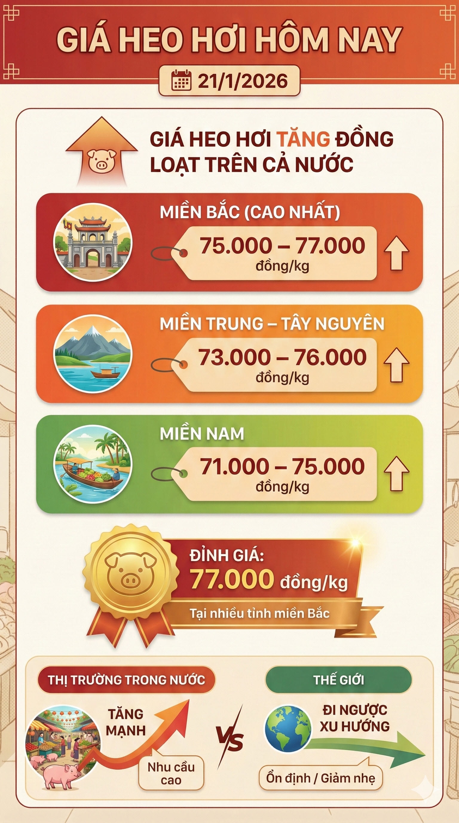 Giá heo hơi hôm nay 21/1: Miền Bắc chạm đỉnh 77.000 đồng/kg - Ảnh 1