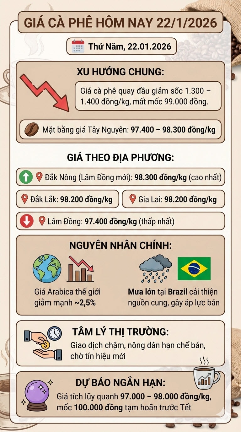 Giá cà phê hôm nay 22/1/2026: "Bốc hơi" 1.400 đồng/kg - Ảnh 2