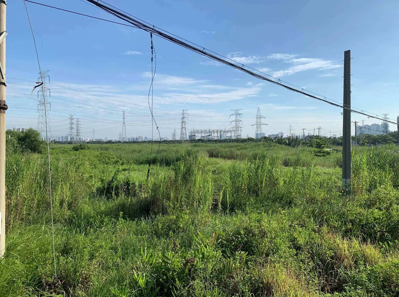 Từ 2026, những vi phạm đất đai có thể bị xử lý hình sự - Ảnh 1