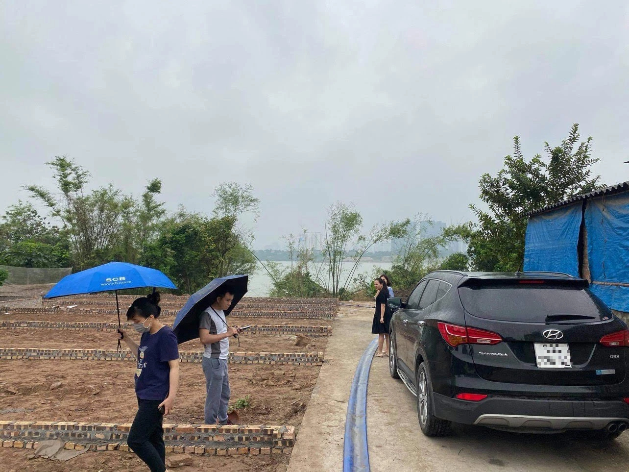 Cả năm ‘sốt đất’, cận Tết môi giới bất động sản vẫn phải bán đào, quất kiếm tiền - Ảnh 1