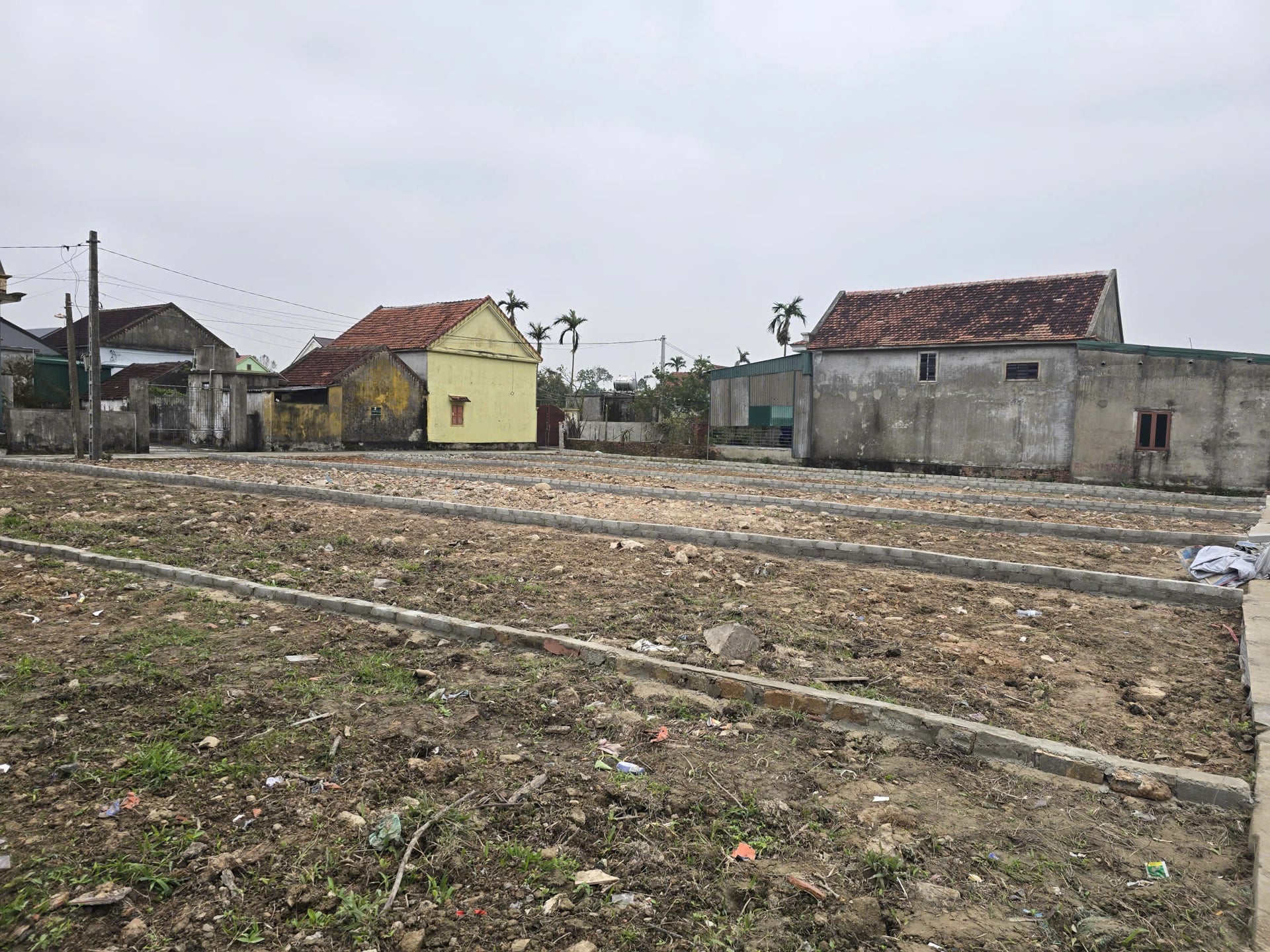 C&aacute;c l&ocirc; đất đấu gi&aacute; được c&aacute;c nh&agrave; đầu tư đẩy l&ecirc;n qu&aacute; cao n&ecirc;n dễ bị bỏ cọc.