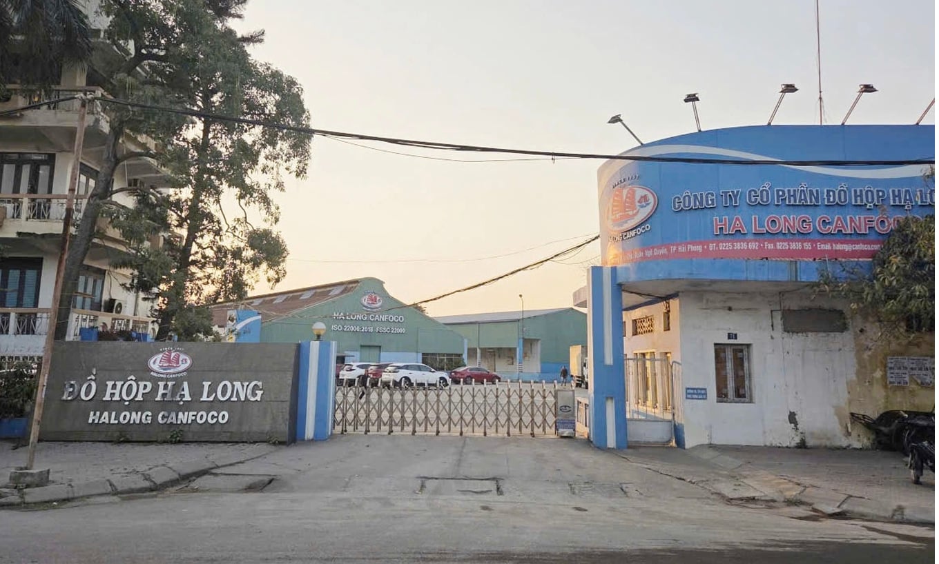 Đồ hộp Hạ Long thua lỗ quý IV/2025, tồn kho phình to giữa lùm xùm thịt lợn nhiễm bệnh - Ảnh 1