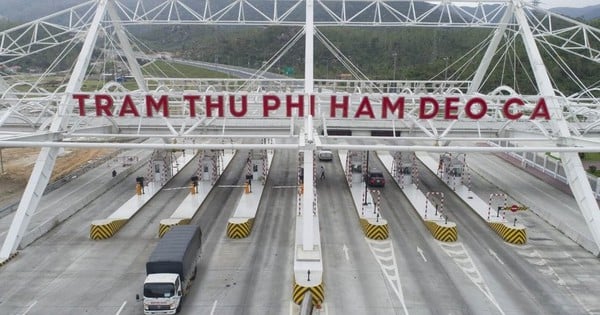 Đ&#232;o Cả: Nợ phải trả vượt 1,1 tỷ USD - Ảnh 1