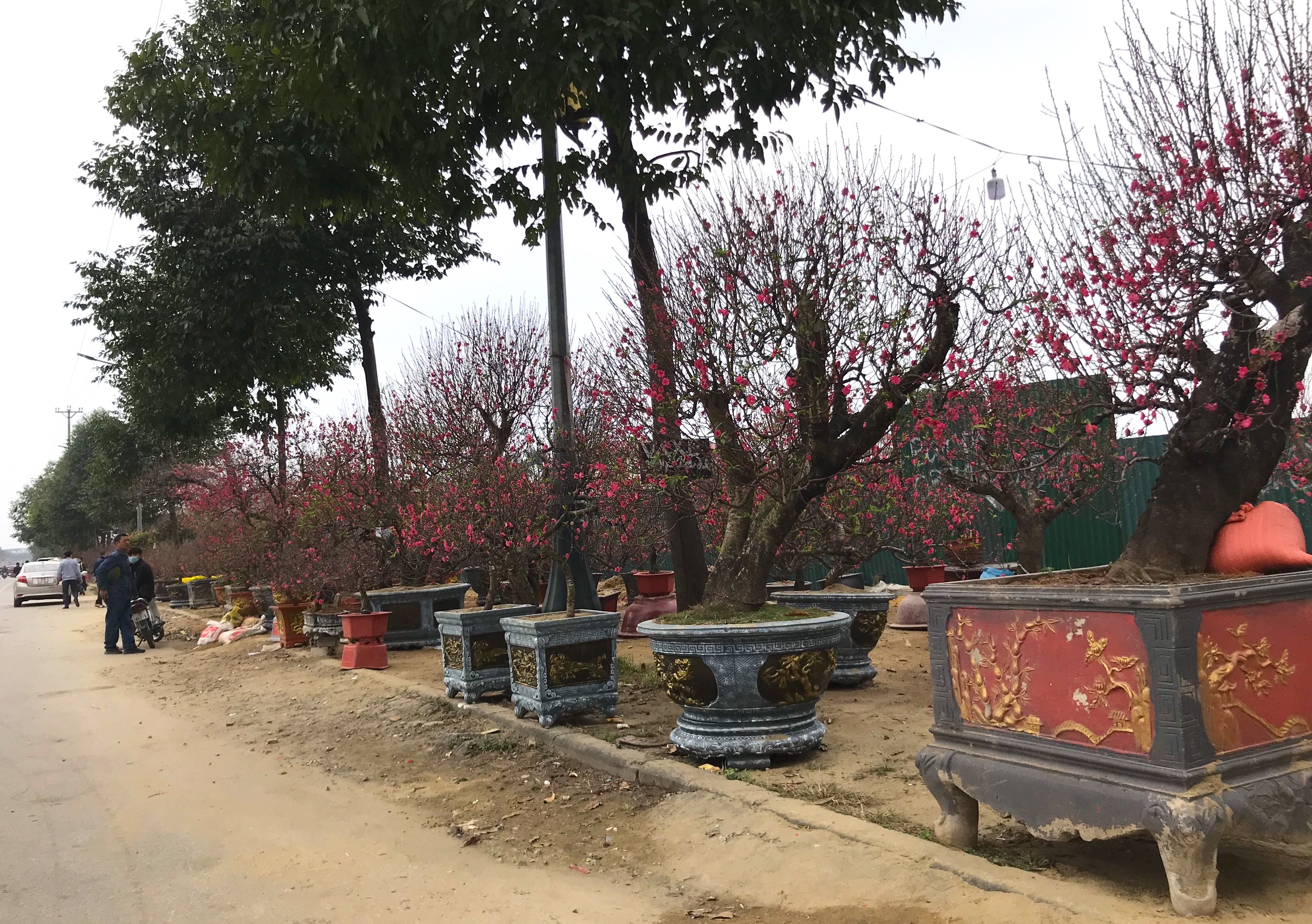 Kiếm tiền triệu mỗi ng&#224;y nhờ &quot;chuyển Tết đến mọi nh&#224;&quot; những ng&#224;y cuối năm - Ảnh 2