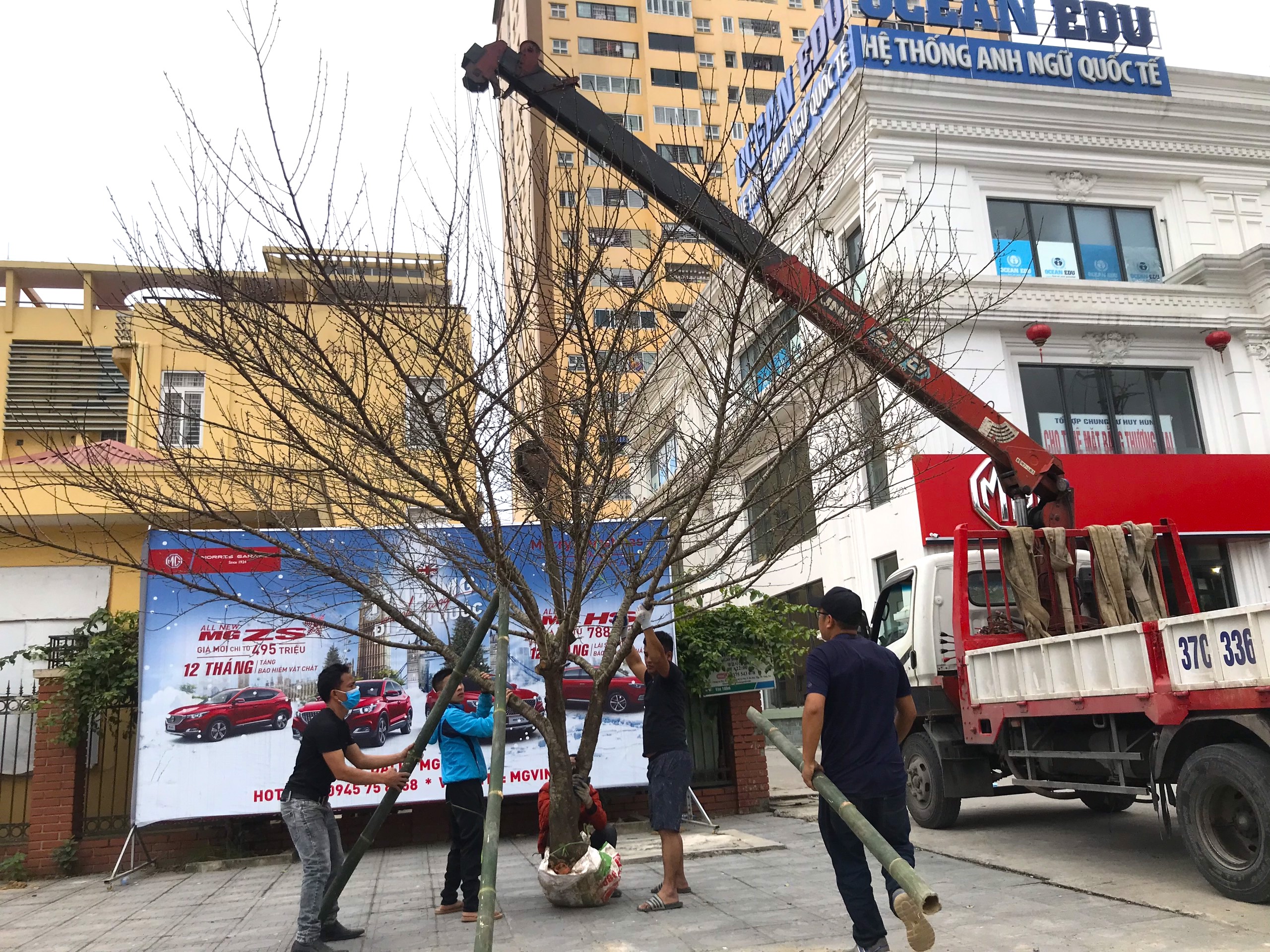 Kiếm tiền triệu mỗi ng&#224;y nhờ &quot;chuyển Tết đến mọi nh&#224;&quot; những ng&#224;y cuối năm - Ảnh 11