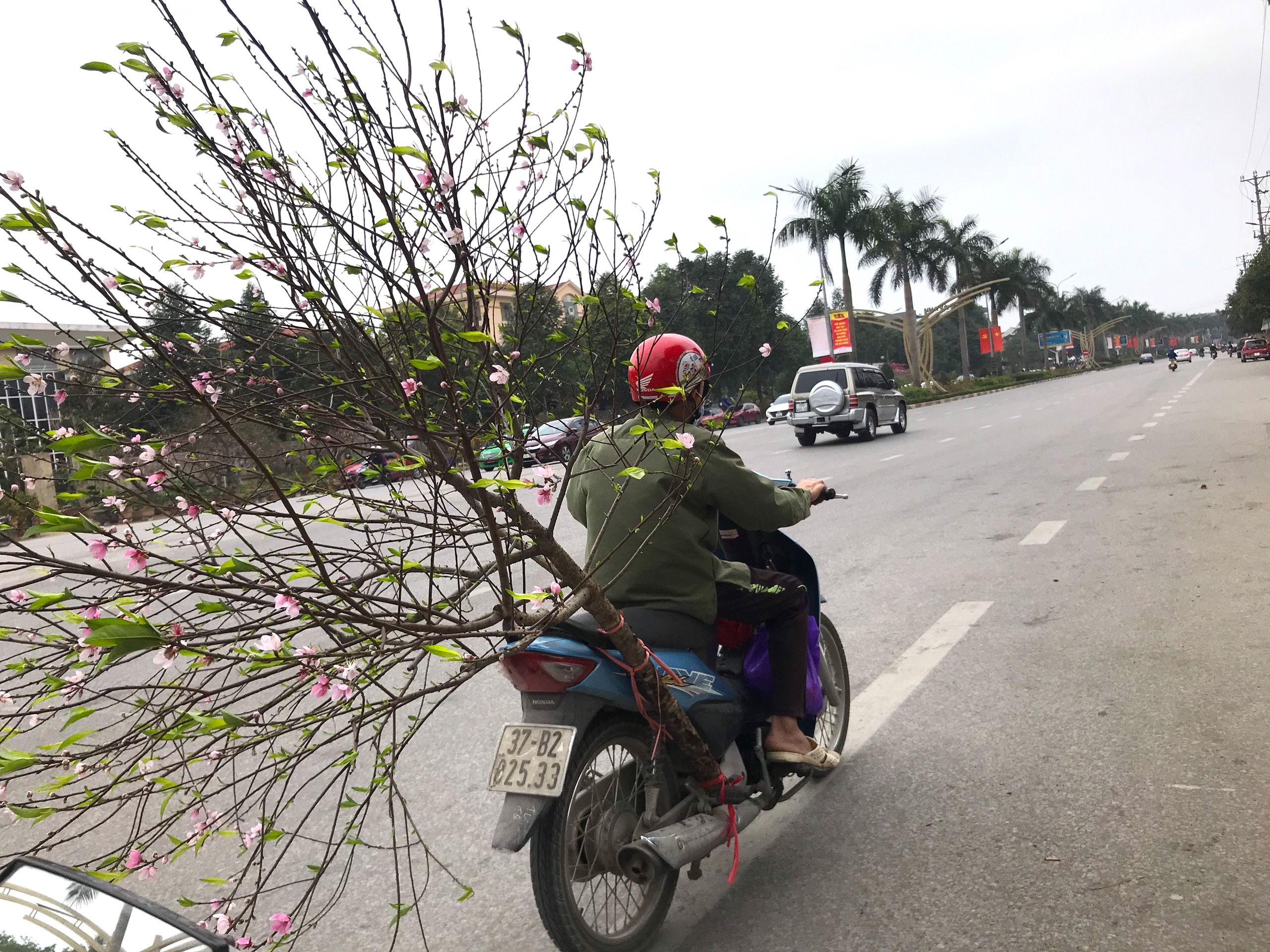 Kiếm tiền triệu mỗi ng&#224;y nhờ &quot;chuyển Tết đến mọi nh&#224;&quot; những ng&#224;y cuối năm - Ảnh 8