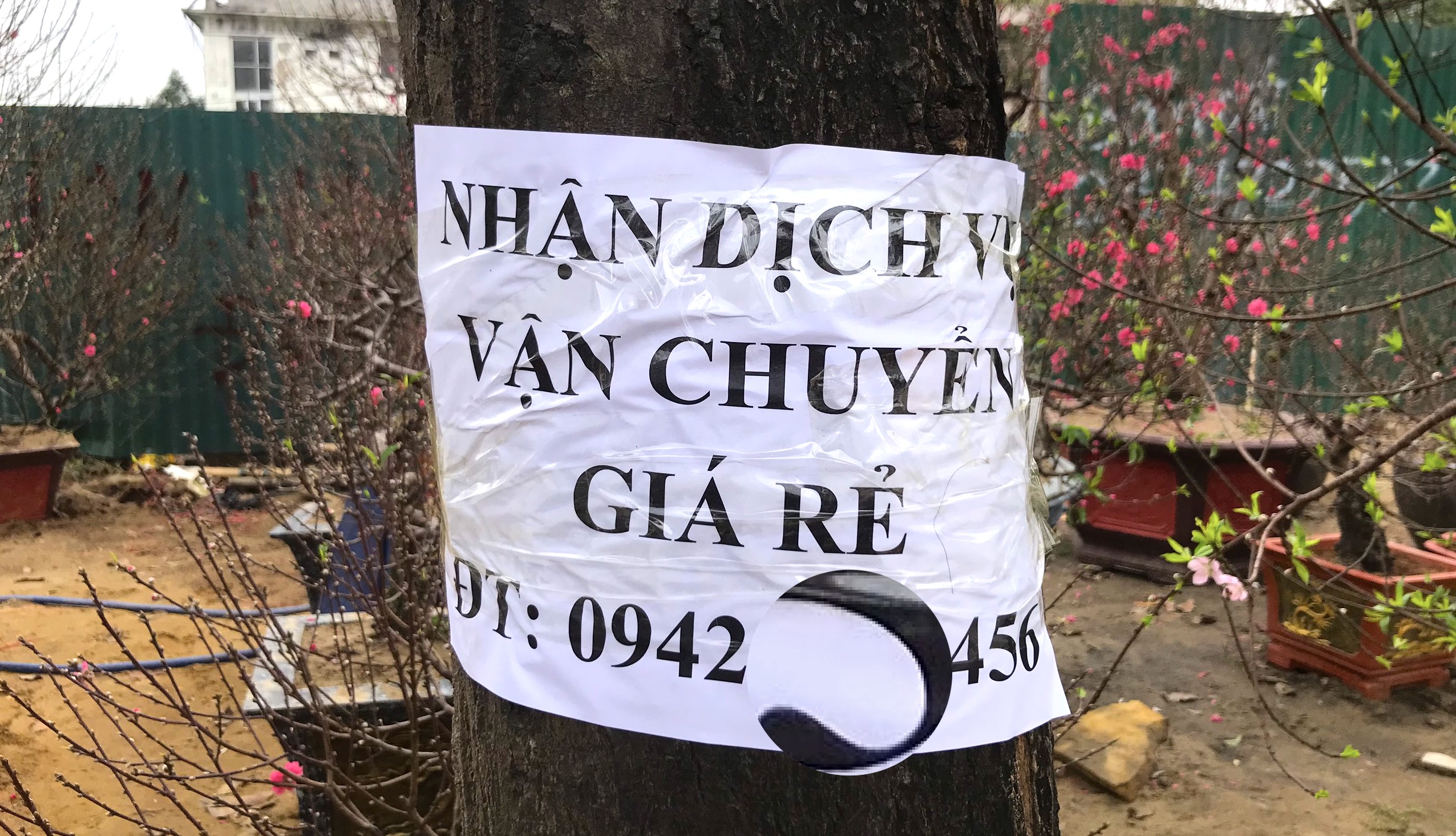 Kiếm tiền triệu mỗi ng&#224;y nhờ &quot;chuyển Tết đến mọi nh&#224;&quot; những ng&#224;y cuối năm - Ảnh 5