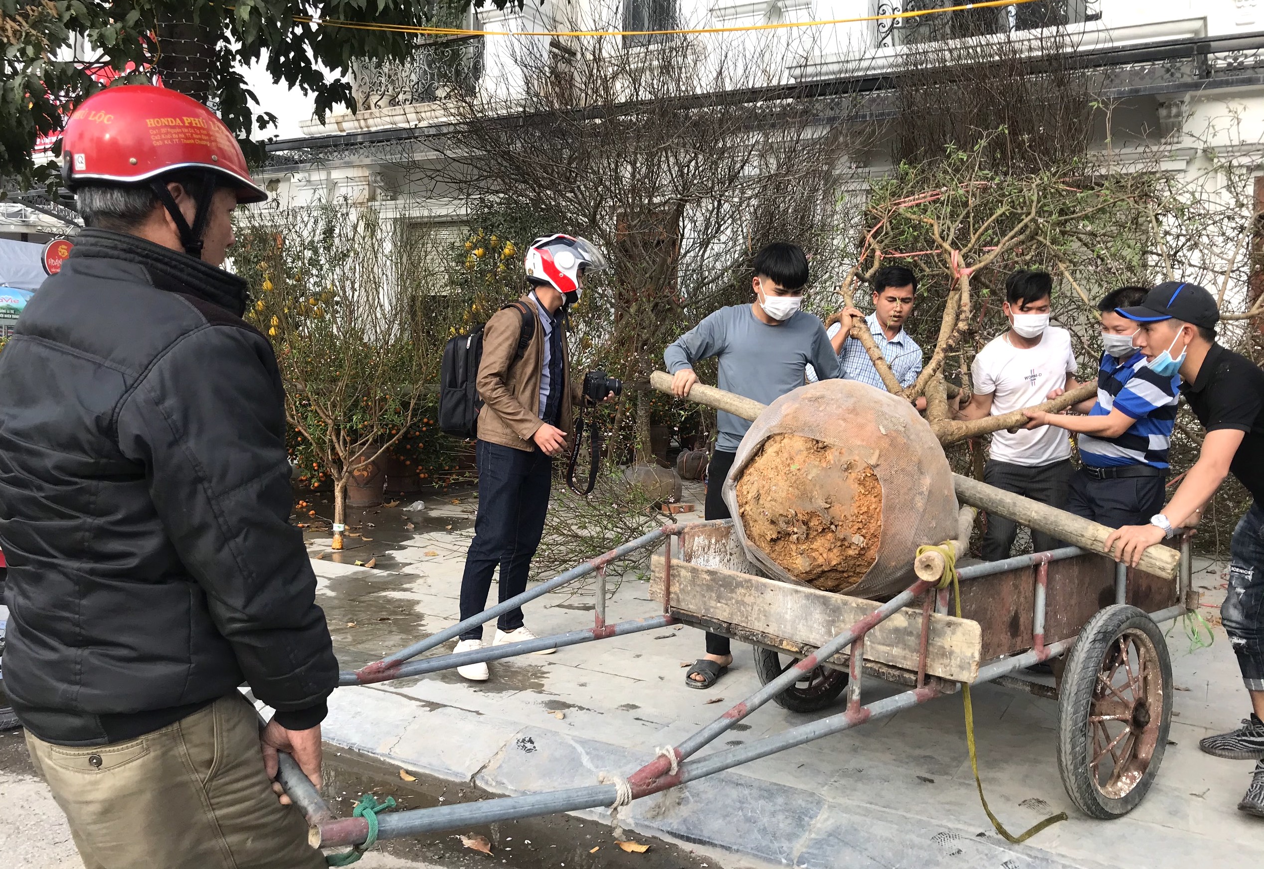 Kiếm tiền triệu mỗi ng&#224;y nhờ &quot;chuyển Tết đến mọi nh&#224;&quot; những ng&#224;y cuối năm - Ảnh 12