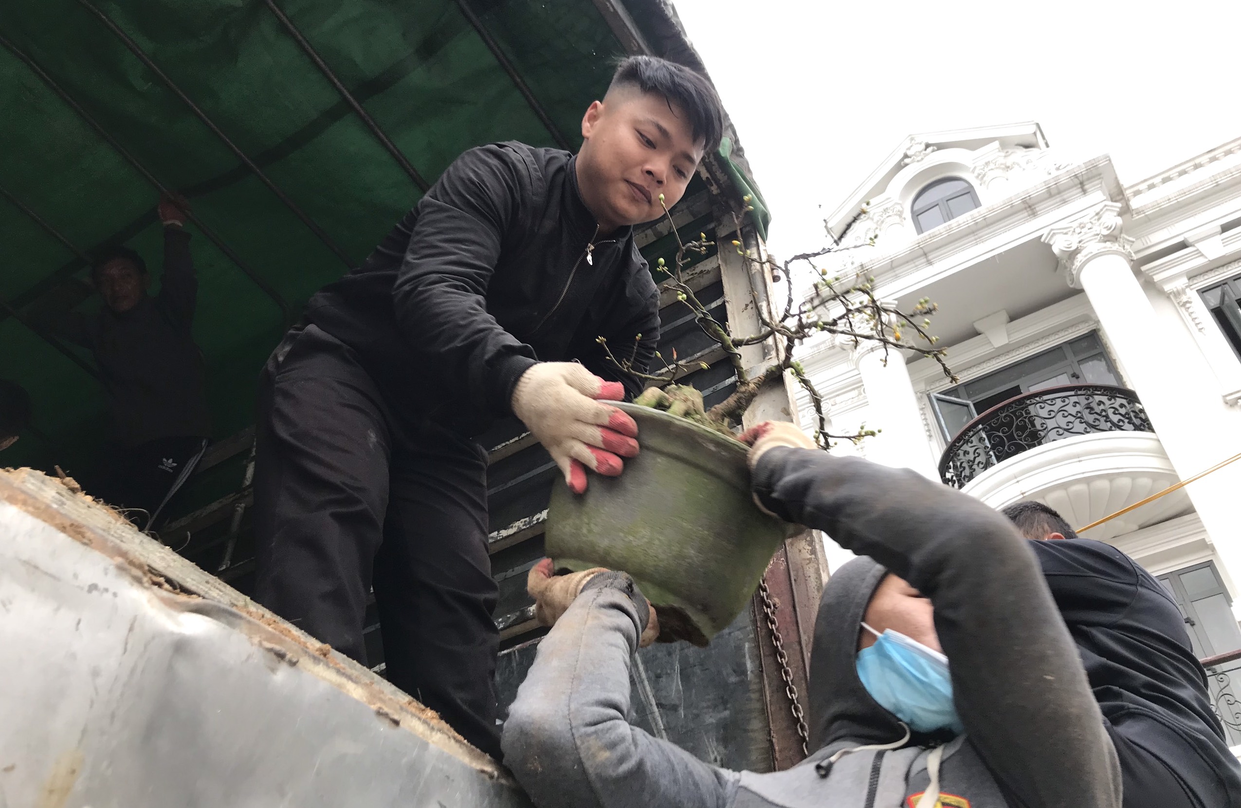 Kiếm tiền triệu mỗi ng&#224;y nhờ &quot;chuyển Tết đến mọi nh&#224;&quot; những ng&#224;y cuối năm - Ảnh 14