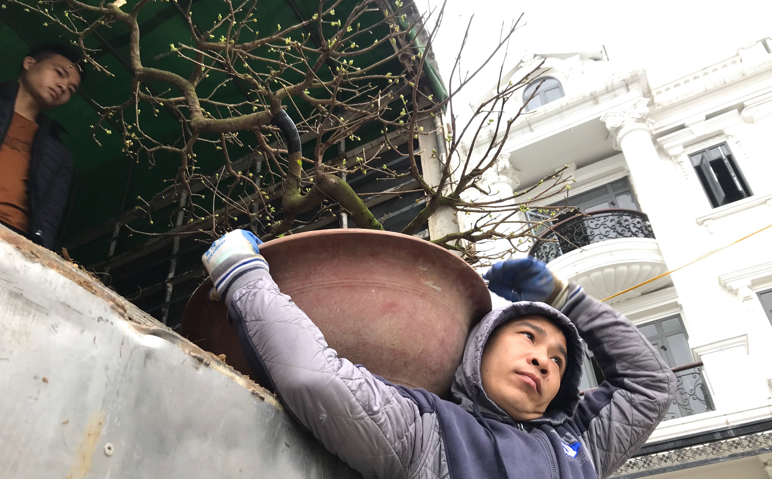 Kiếm tiền triệu mỗi ng&#224;y nhờ &quot;chuyển Tết đến mọi nh&#224;&quot; những ng&#224;y cuối năm - Ảnh 1