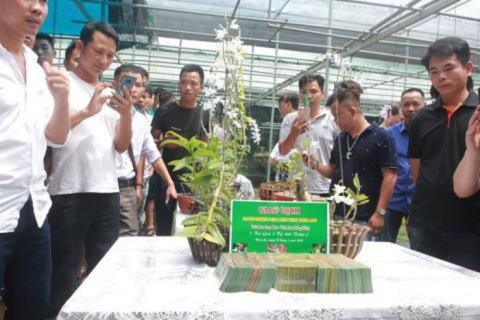 Vỡ trận Phi điệp đột biến: Dự b&#225;o trước - Ảnh 1