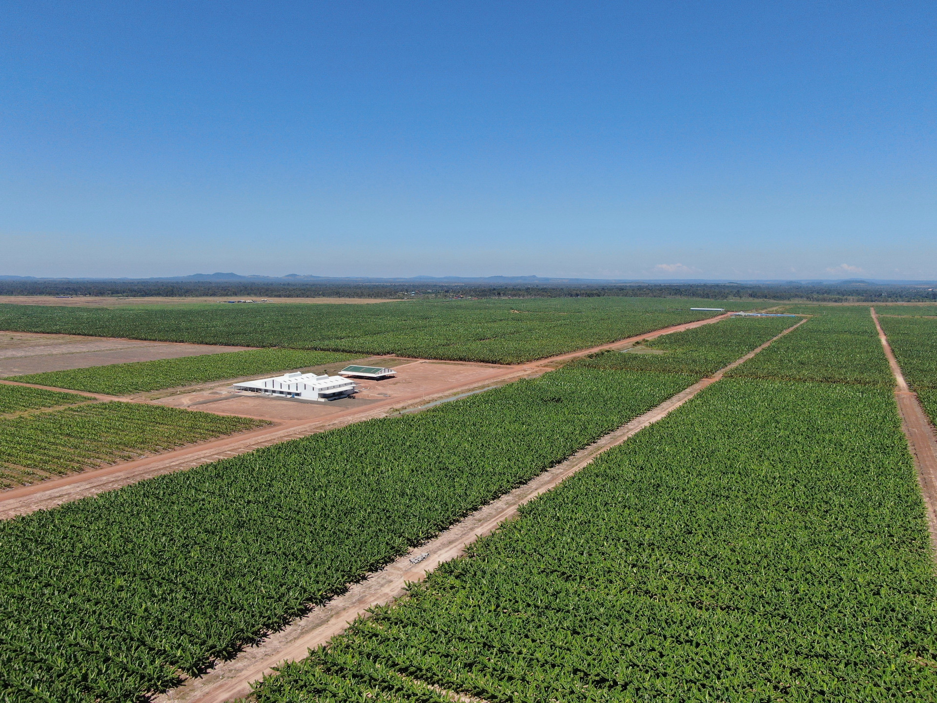 Hệ sinh thái khổng lồ của tỷ phú Trần Bá Dương sẽ vận hành thế nào năm 2023? - Ảnh 3