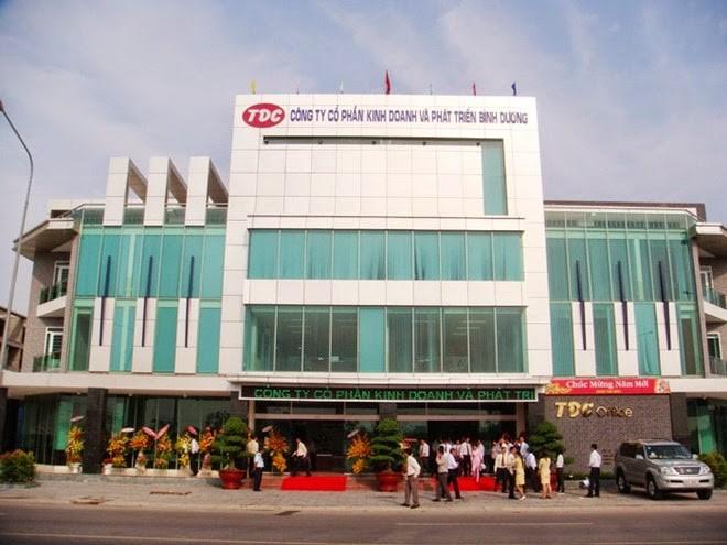 Bức tranh t&agrave;i ch&iacute;nh của TDC ghi nhận nhiều &ldquo;gam m&agrave;u x&aacute;m&rdquo; trong những năm gần đ&acirc;y.