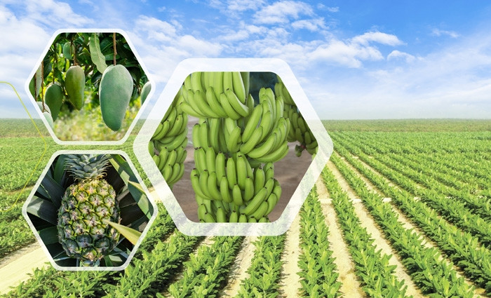 Ảnh minh họa.&nbsp;&nbsp;