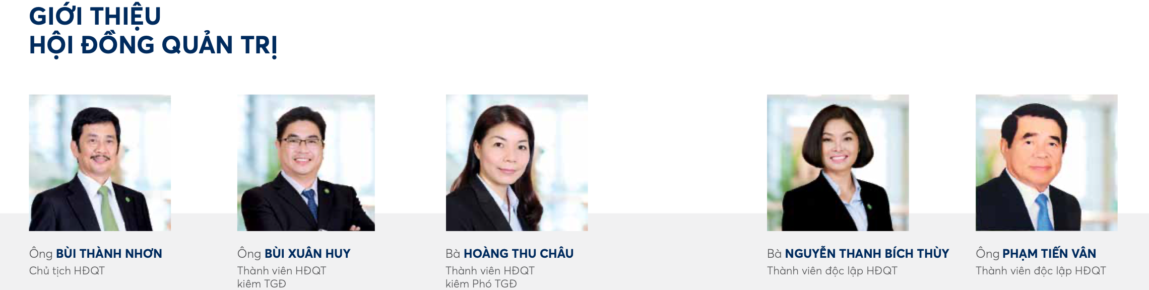 HĐQT hiện tại của Novaland. &nbsp;