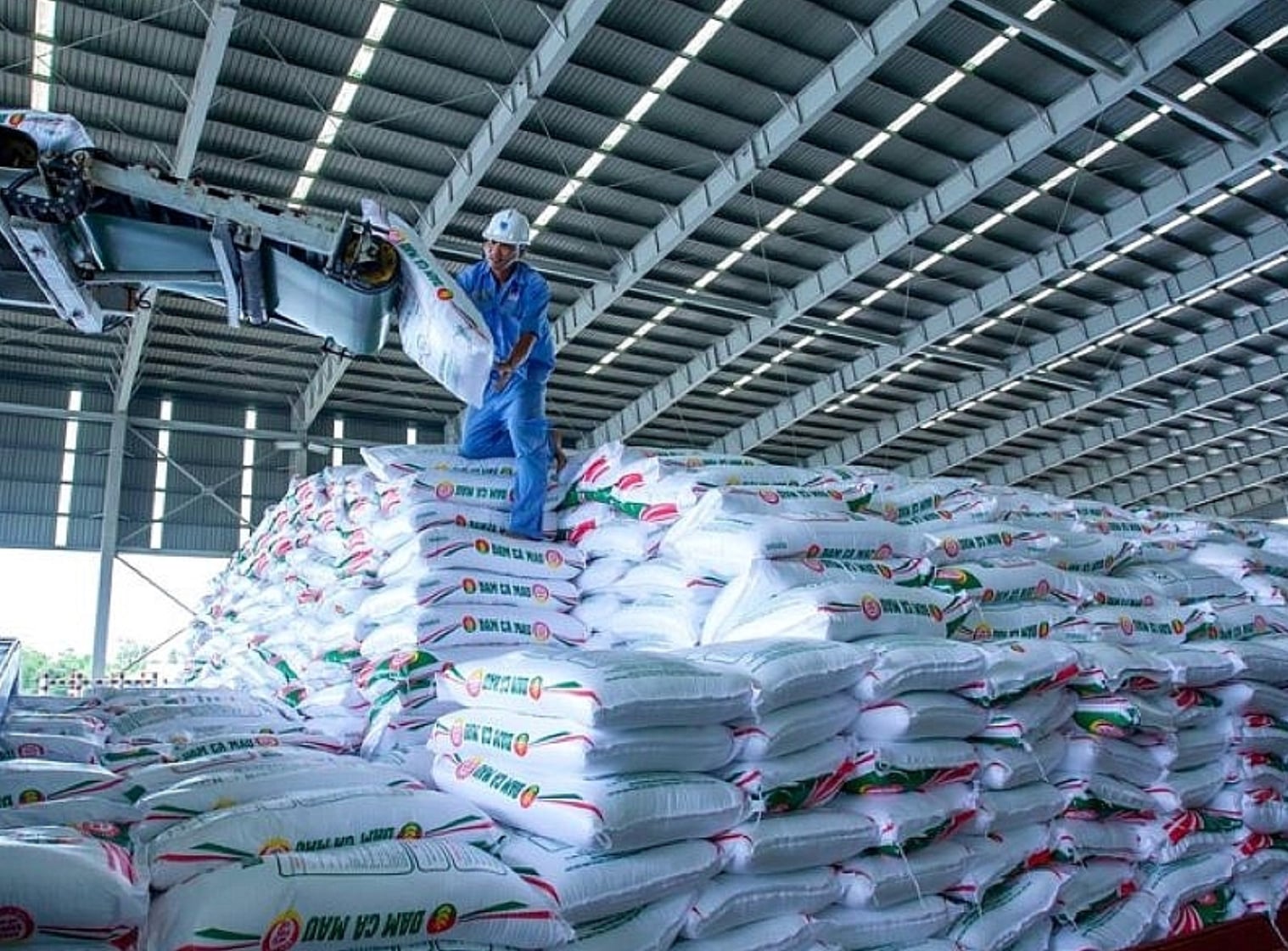 Ngược chiều trong 2025: Phân bón tăng tốc, hóa chất nặng gánh chi phí - Ảnh 1