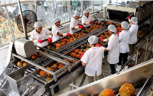 C&ocirc;ng ty CP Chiếu xạ An Ph&uacute; bị phạt 118 triệu đồng do vi phạm thuế