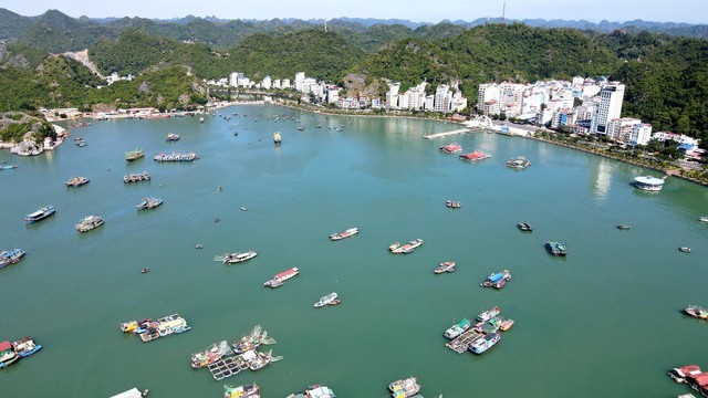 Khu du lịch, dịch vụ thương mại Vịnh trung t&#226;m C&#225;t B&#224; vẫn chưa c&#243; chủ sau 2 lần đấu gi&#225; - Ảnh 1