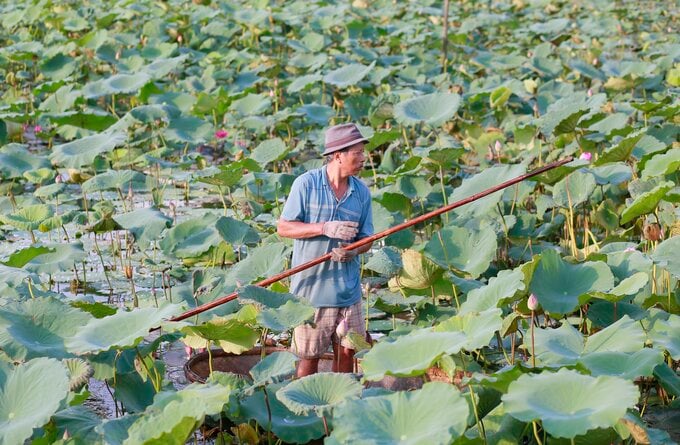 H&agrave; Nội: Đấu gi&aacute; cho thu&ecirc; 35.000m2 đất tại T&acirc;y Hồ.