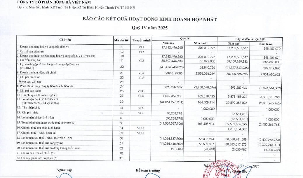Kết quả kinh doanh của&nbsp;C&ocirc;ng ty cổ phần Hồng H&agrave; Việt Nam.