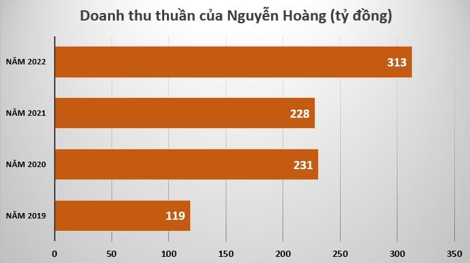 Tập đo&#224;n Bamboo Capital muốn b&#225;n bớt cổ phần c&#244;ng ty con, huỷ r&#243;t vốn v&#224;o Bảo hiểm AAA - Ảnh 3