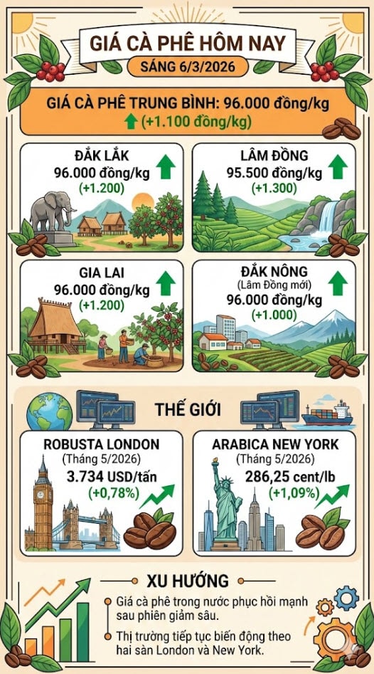 Giá cà phê hôm nay 6/3/2026: Tăng mạnh trở lại, vượt mốc 96.000 đồng/kg - Ảnh 1