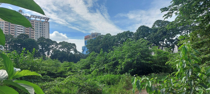 Nhiều doanh nghiệp rất kh&oacute; khăn trong việc ph&aacute;t h&agrave;nh tr&aacute;i phiếu dẫn tới kh&oacute; khăn về d&ograve;ng tiền để ph&aacute;t triển dự &aacute;n, khiến dự &aacute;n bị bỏ hoang nhiều năm.