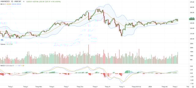 SHS: Khả năng chỉ số VN-Index sẽ giảm trở lại v&#249;ng 1.150-1.250 điểm - Ảnh 1