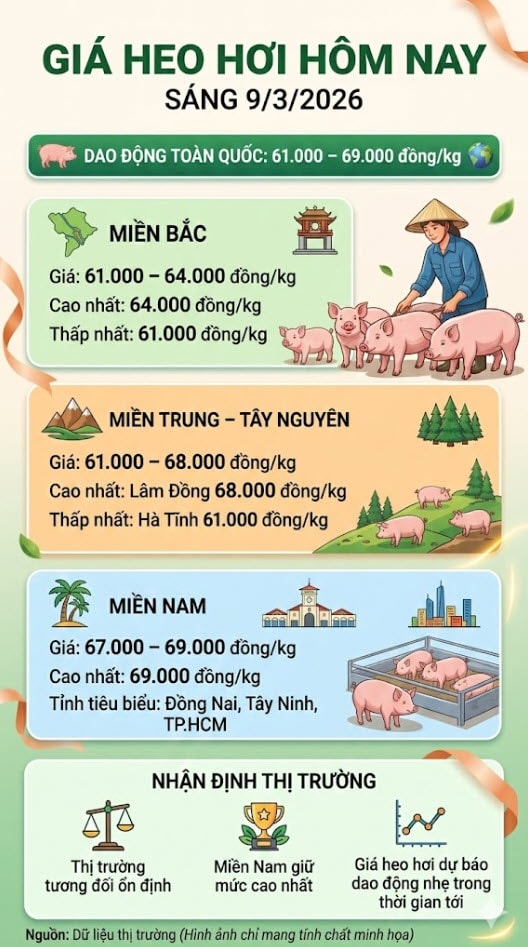 Giá heo hơi hôm nay 9/3: Thị trường ổn định, miền Nam tiếp tục dẫn đầu - Ảnh 1