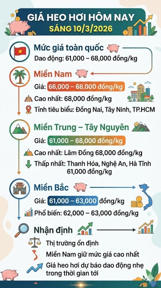 Giá heo hơi hôm nay 10/3: Miền Nam giảm nhẹ, cao nhất 68,000 đồng/kg - Ảnh 1