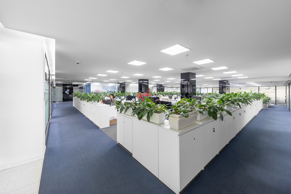 C&aacute;c ph&ograve;ng ban được ph&acirc;n t&aacute;ch bằng h&agrave;ng r&agrave;o c&acirc;y xanh