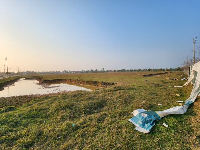 Hiện trạng Khu đất dự &aacute;n. (Ảnh L&ecirc; Do&atilde;n T&agrave;i)