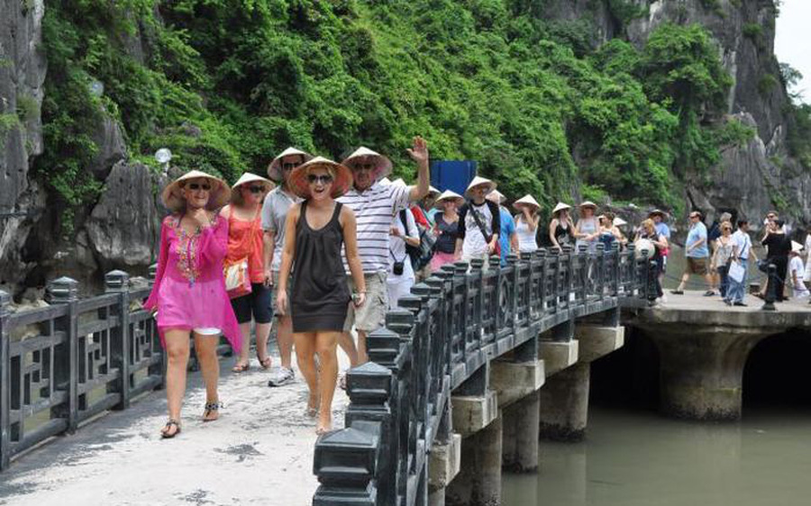 Doanh nghiệp du lịch kiến nghị giảm 50% thuế VAT để kh&#244;i phục kinh doanh - Ảnh 1