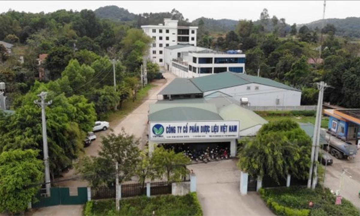 CTCP Dược liệu Việt Nam hoạt động ch&iacute;nh trong lĩnh vực dược liệu v&agrave; ph&acirc;n phối dược phẩm