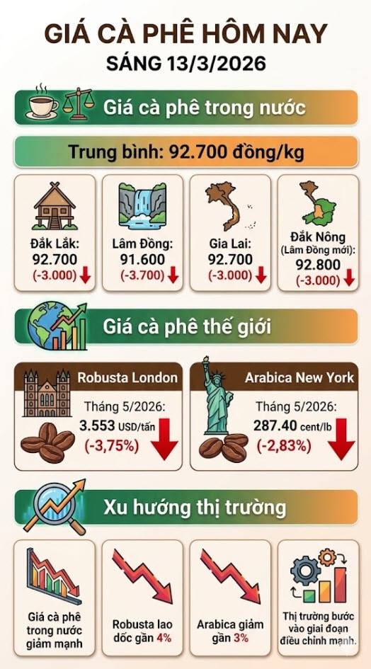 Giá cà phê hôm nay 13/3: Tây Nguyên rơi mạnh, Robusta mất gần 4% - Ảnh 1