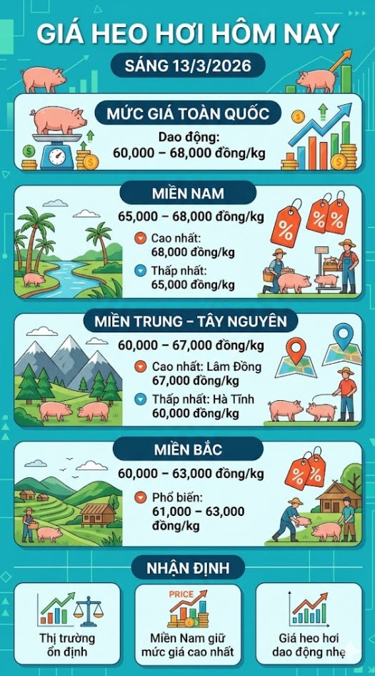 Giá heo hơi hôm nay 13/3: Miền Nam giảm nhẹ, thấp nhất 65,000 đồng/kg - Ảnh 1