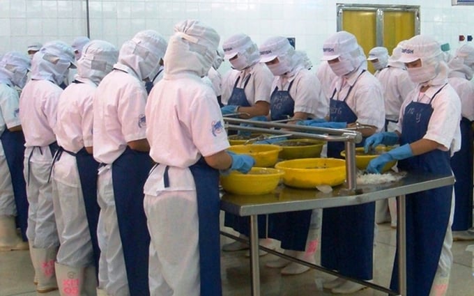 Cổ phiếu ICF tăng trần 10 phiên, công ty không biết lý do - Ảnh 1