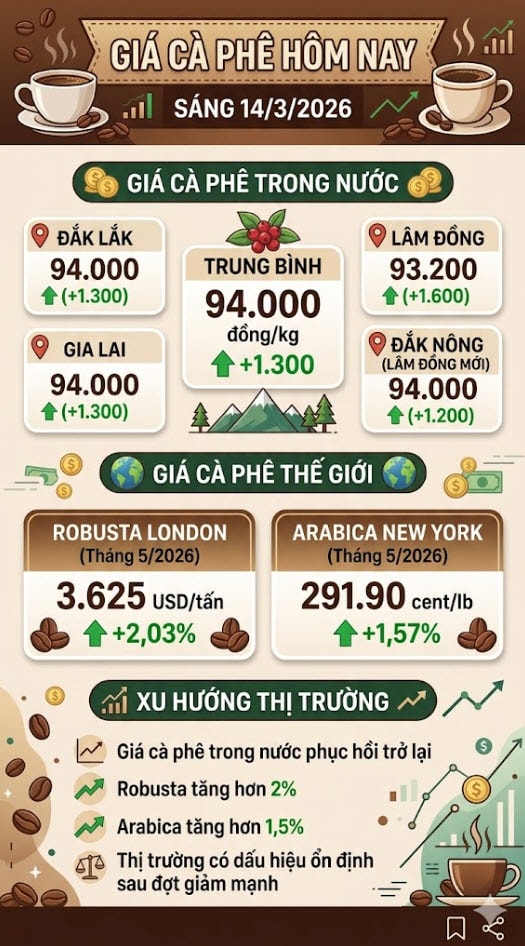 Giá cà phê hôm nay 14/3: Trong nước tăng mạnh theo đà phục hồi của thế giới - Ảnh 1
