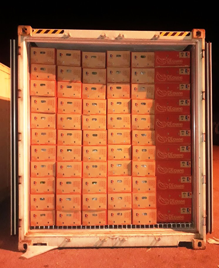 Tr&aacute;i c&acirc;y được đưa v&agrave;o container lạnh vận chuyển từ n&ocirc;ng trường về cảng Chu Lai