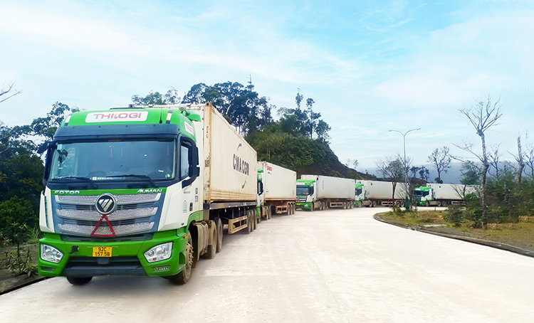 Xe THILOGI vận chuyển tr&aacute;i c&acirc;y từ Attapeu (L&agrave;o) về tập kết chờ th&ocirc;ng quan tại cửa khẩu quốc tế Dak Taook - Nam Giang